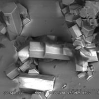 Agakhanovite-(Y), Milarite
