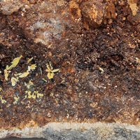 Uranospathite