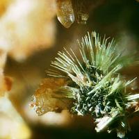 Agardite-(La)