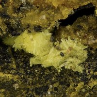 Uranopilite, Uraninite