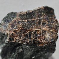Lamprophyllite