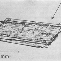 Barylite