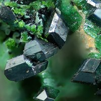 Lammerite