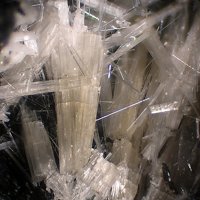 Kaliophilite