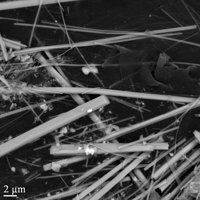 Eckhardite