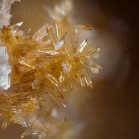 Magnanelliite