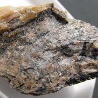 Iimoriite-(Y)