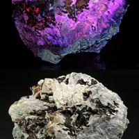 Carletonite, Pectolite