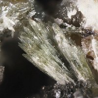 Fassinaite