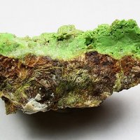 Gaspéite, Tremolite