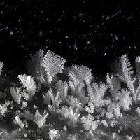 Ice