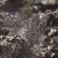 Ravatite