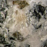 Nacareniobsite-(Ce), Steenstrupine-(Ce), Albite