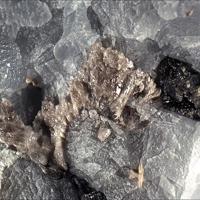 Baghdadite, Perovskite