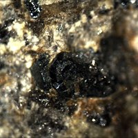 Gabrielsonite