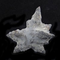 Calcite, Ikaite