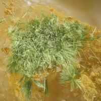 Agardite-(Nd)
