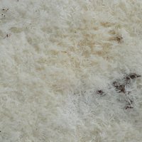 Uralolite