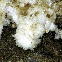 Uralolite