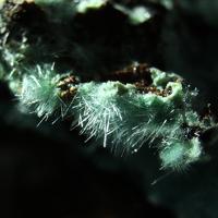 Agardite-(Nd)