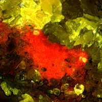 Daliranite