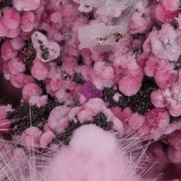 Sainfeldite, Erythrite, Gypsum
