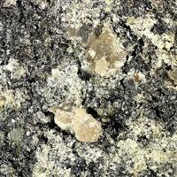Bambollaite, Tellurium, Tellurite
