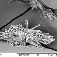 Dalnegroite