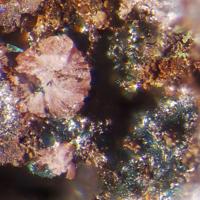 Ahlfeldite, Chalcomenite, Clinochalcomenite