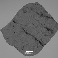 Daubréelite, Troilite, Kamacite