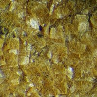 Kahlerite