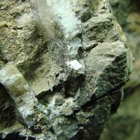 Bassanite