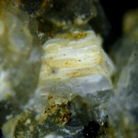 Farneseite