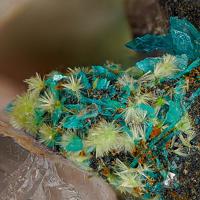 Agardite-(Ce), Posnjakite