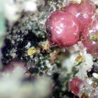 Gayite, Variscite, Saléeite