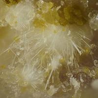 Calamaite