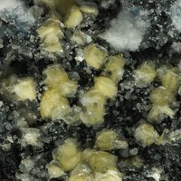 Ecdemite