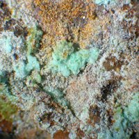 Carrboydite