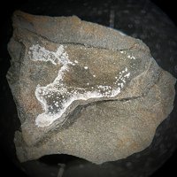 Salammoniac