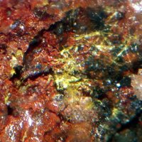 Macquartite