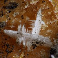 Lanthanite-(Ce)