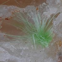 Agardite-(La)