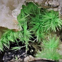 Ulrichite