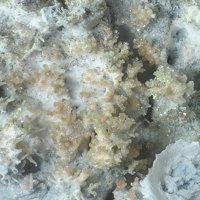 Lafossaite, Bismuthinite