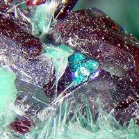 Barlowite, Cuprite