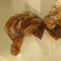 Rappoldite