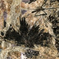 Umbozerite, Serandite, Vuonnemite