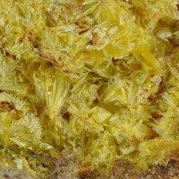 Urancalcarite