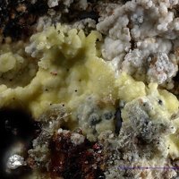 Uranospinite