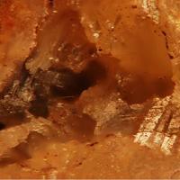 Bahianite